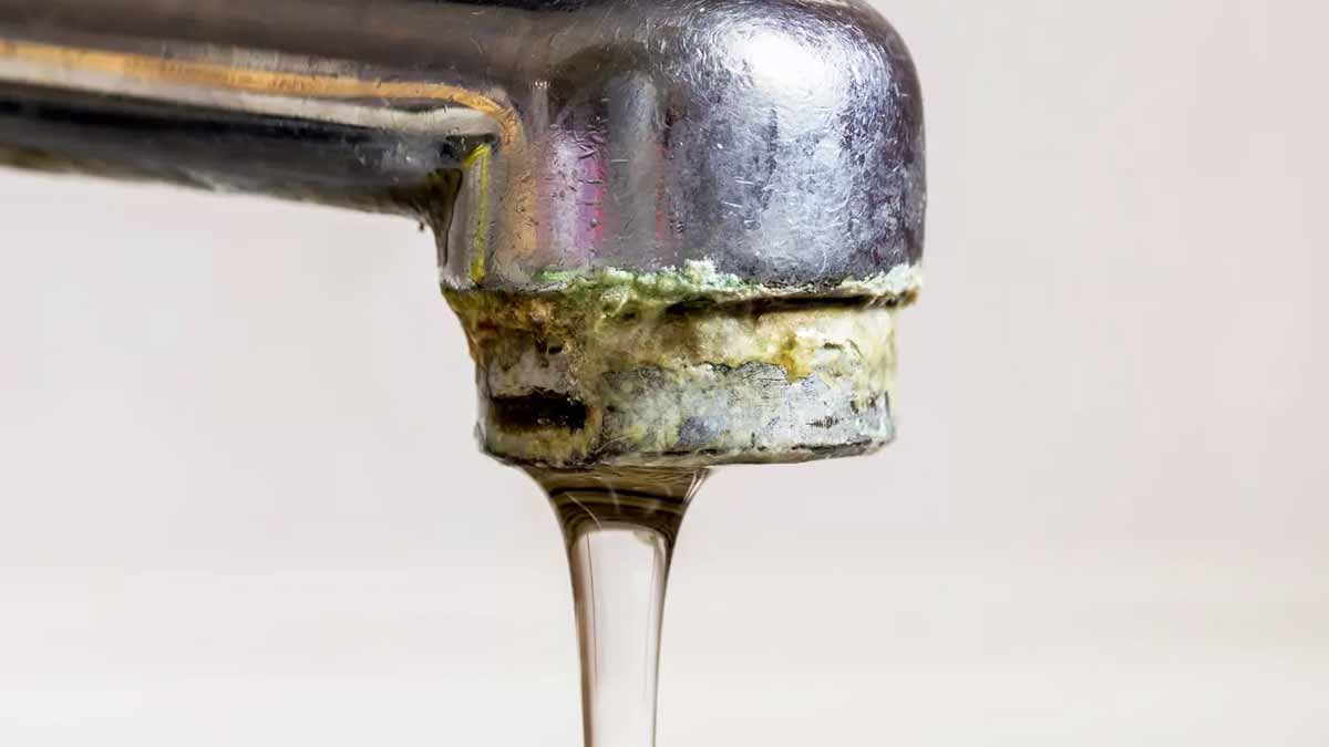 Ni citron ni vinaigre : la méthode pour éliminer le calcaire des robinets comme les professionnels