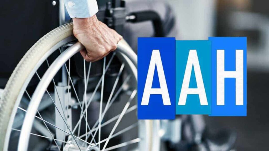 l’allocation aux adultes handicapés