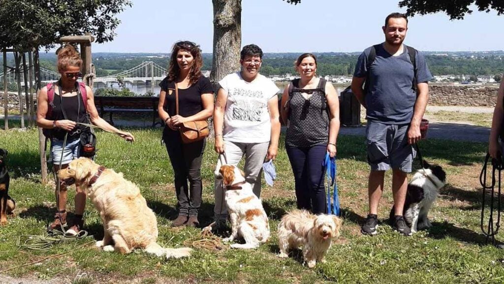 C’est officiel : il est désormais formellement interdit de promener son chien dans les rues d’une vingtaine de villes, les habitants en colère en Iran