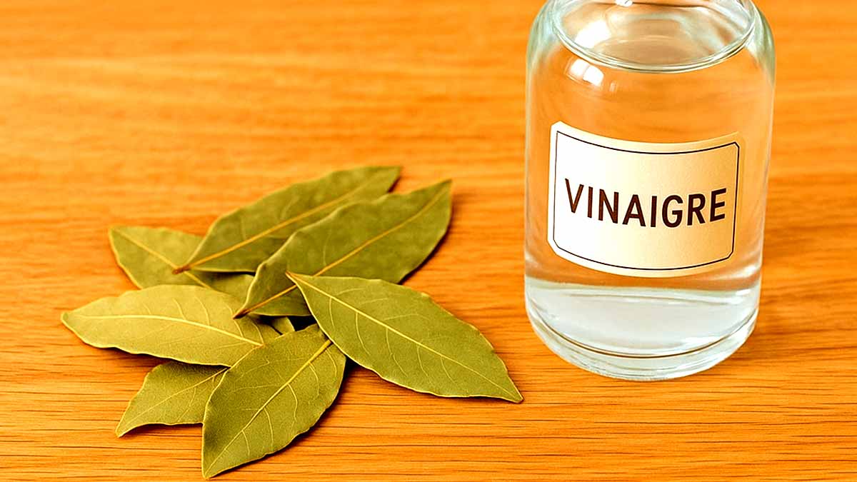 Du laurier et du vinaigre : une astuce incroyable qui va résoudre votre plus grand problème chez vous