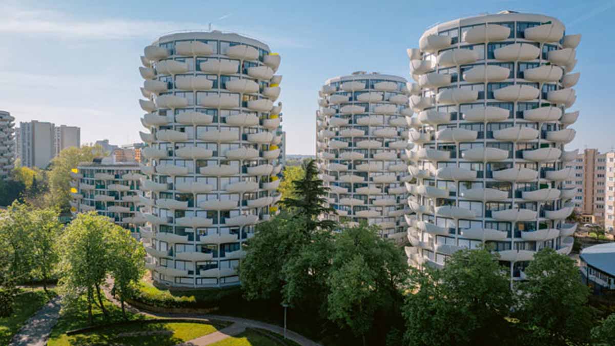 Choux de Créteil