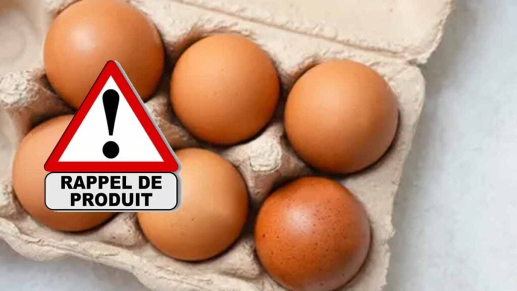 rappel produit œufs