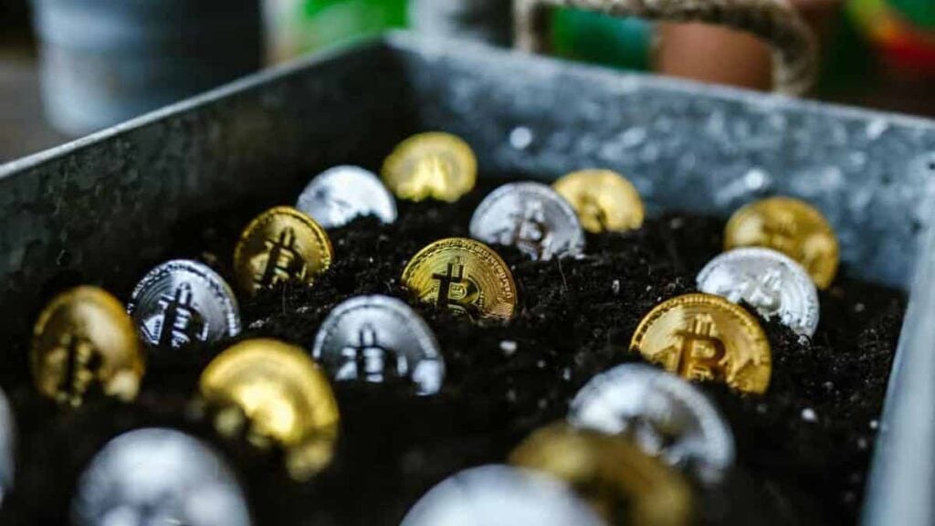 baleines Bitcoin