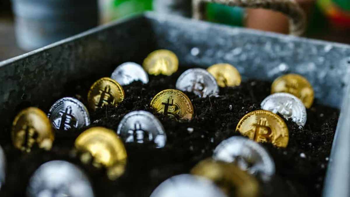 baleines Bitcoin