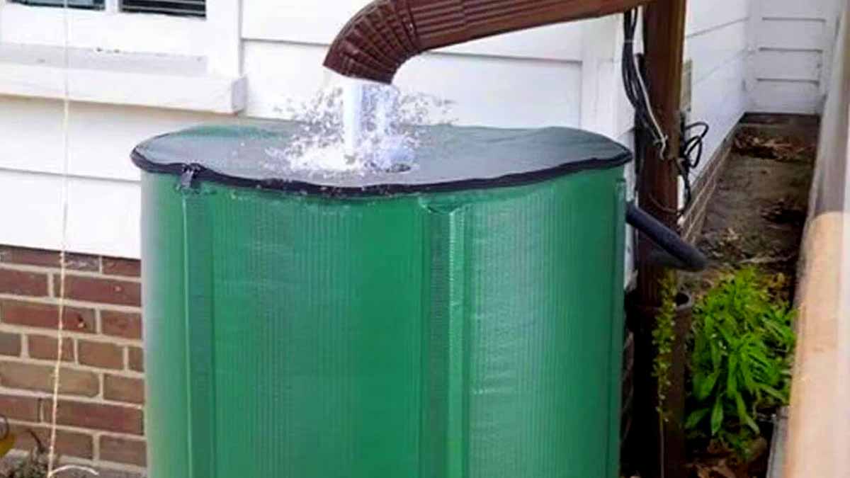 entretien récupérateurs d’eau