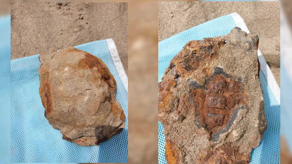 grenade trouvée sur la plage
