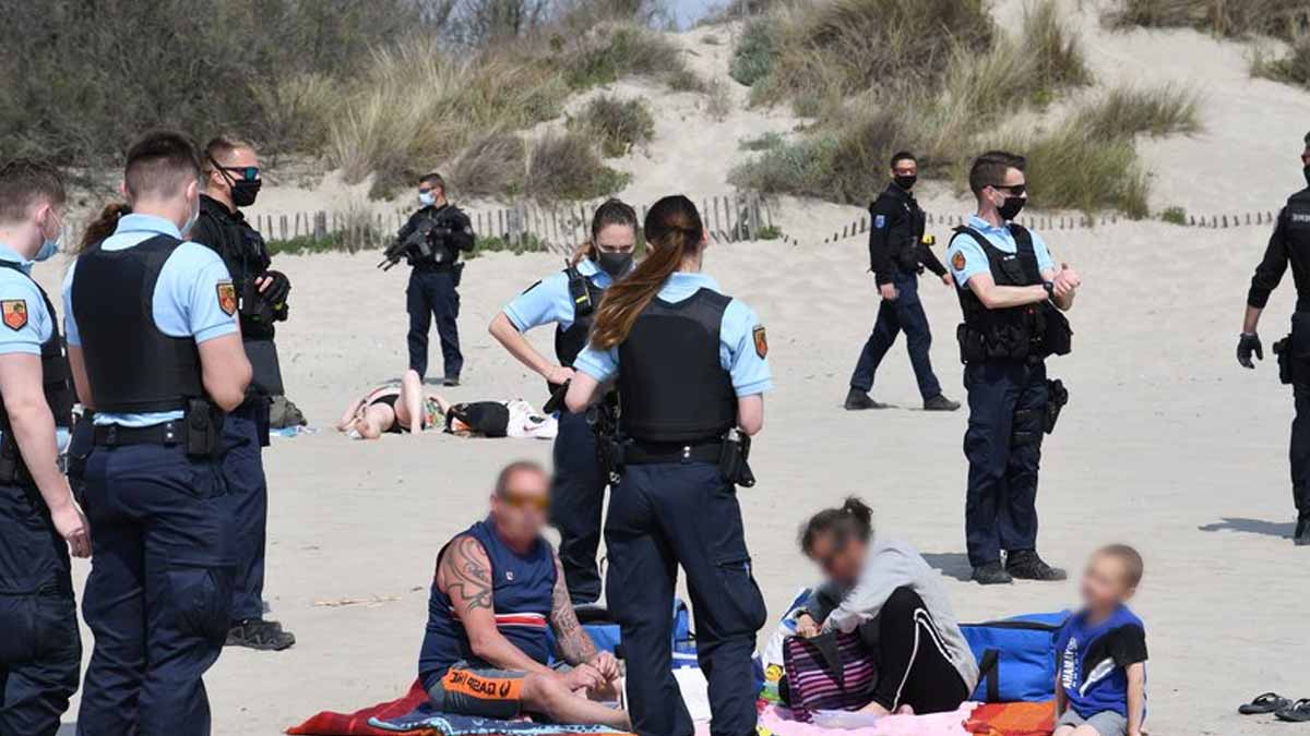 interdiction de cueillir des plantes sur les plages