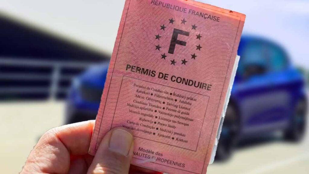 permis de conduire rose