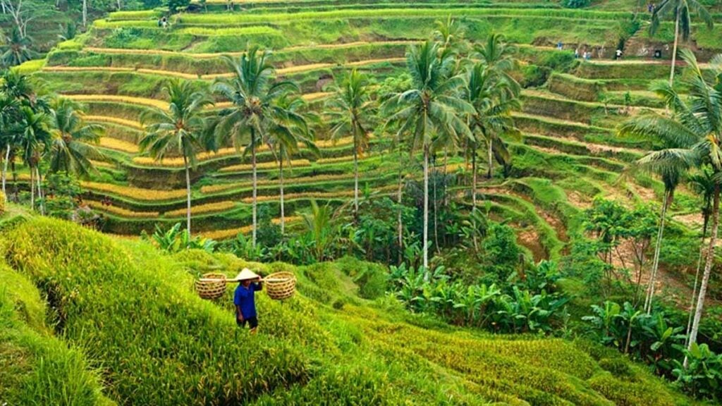 plus beau pays du monde