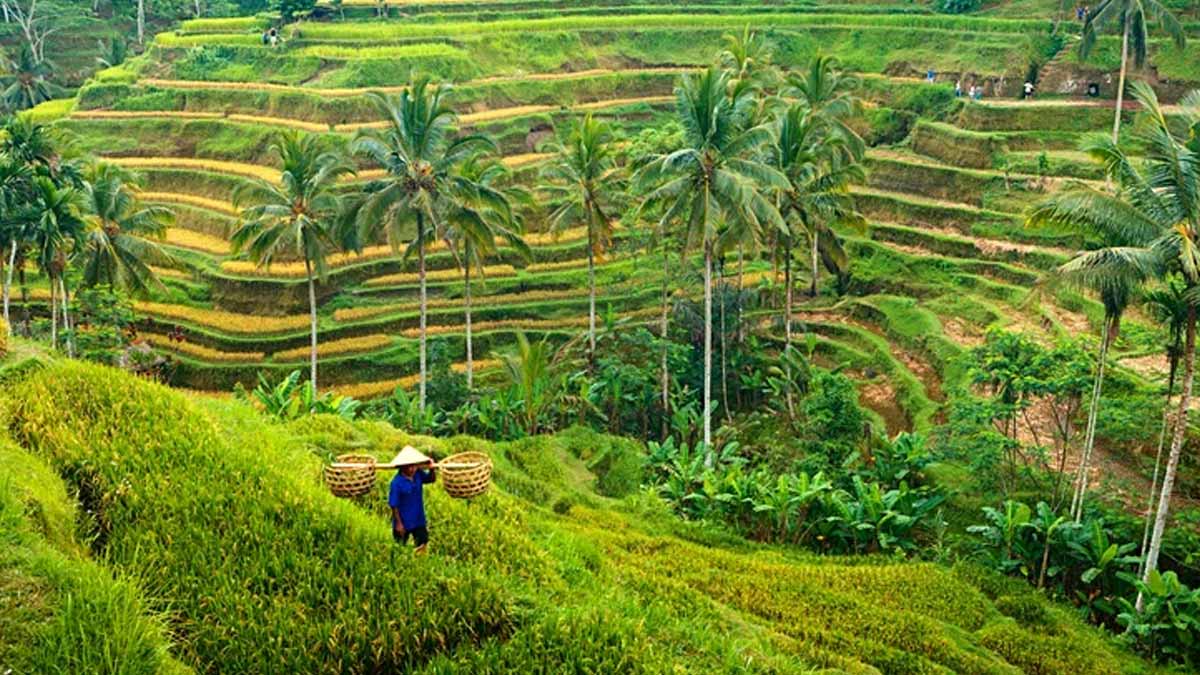 plus beau pays du monde