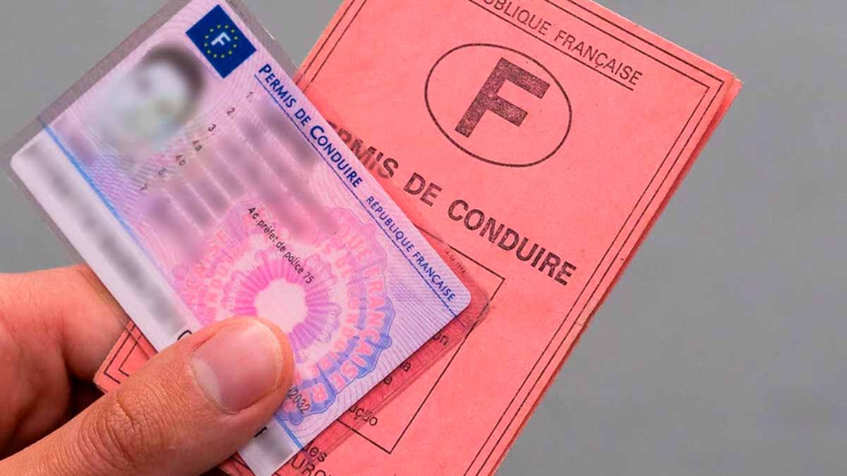 remplacement permis conduire