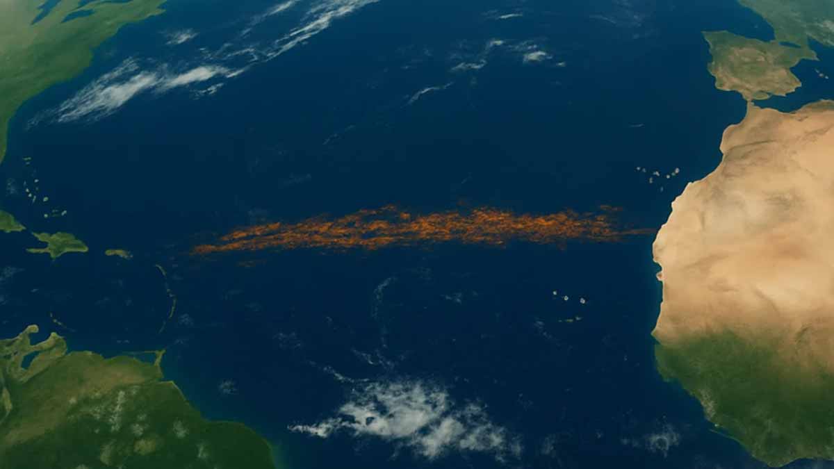 sargasses Atlantique