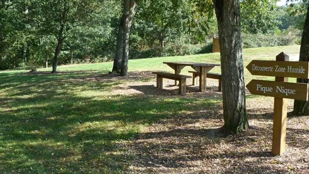 Seine-et-Marne : venez explorer le parc des Plaines, un nouvel espace naturel en plein cœur de la forêt